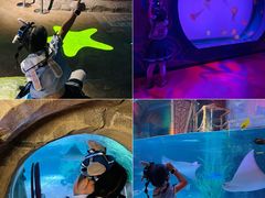 -沈阳海洋探索中心