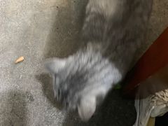 -老姐石板烧烤+铜炭火锅(总店)