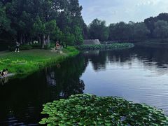 -西溪国家湿地公园