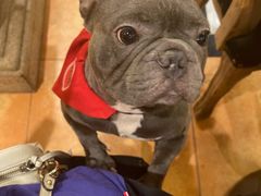 -more than meow吴止猫主题餐厅(承德 中船汇店)