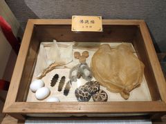 -宣和苑(华侨新村店)