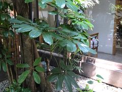 景观位-生机蔬食·24节气料理餐厅(番禺广场店)