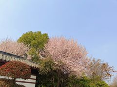 -武汉园博园(武汉自然博物馆)
