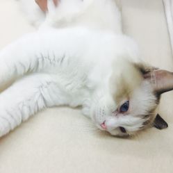 -匠之美甲美睫