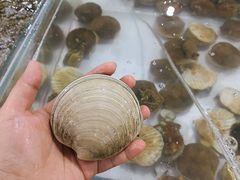 -阔澜蒸汽海鲜自助