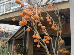 -田园印象·成都土菜院子(华阳店)