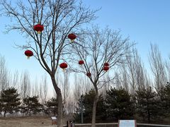 -东郊湿地公园