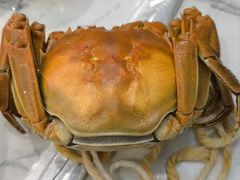 -蟹天蟹地农家菜·阳澄湖大闸蟹(浅水湾店)