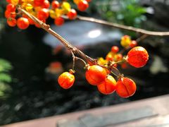 -The Flowers Coffee(南山店)