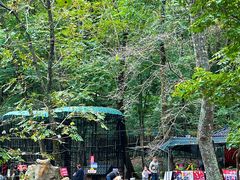 -本溪关山湖风景区