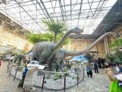 -国家自然博物馆