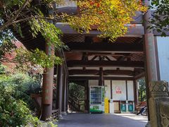 -杭州半山国家森林公园