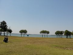 -漕湖湿地公园