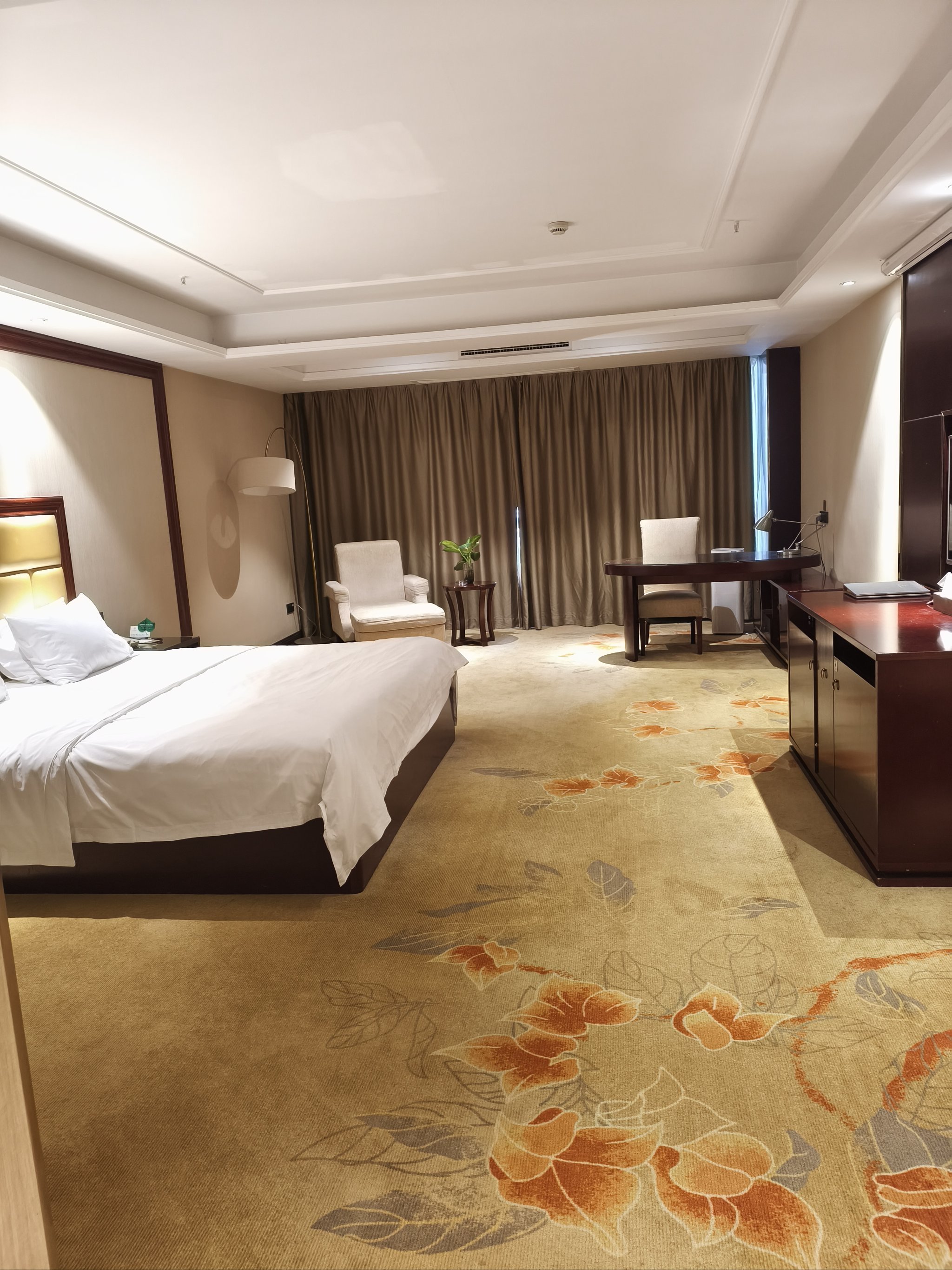 风掠过麦田的竖琴,青涩的麦芒在五线谱🎼