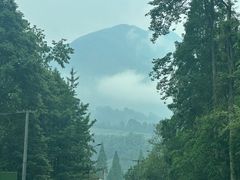 -虹口漂流