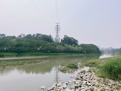 -广东花都湖国家湿地公园