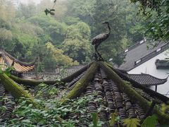 -杭州黄龙洞