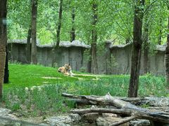 -北京野生动物园