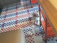 -犇一鲜老重庆火锅(华威大厦店)