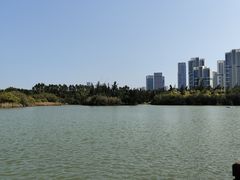 -五缘湾湿地公园