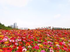-映月湖中央公园