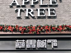 门面-苹果树下艺术餐厅(宋庄店)