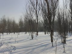 -丁香湖公园
