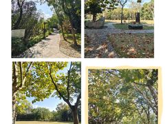 -上海吴淞炮台湾国家湿地公园