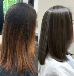 -蚂蚁造型俱乐部