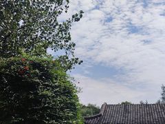 -日出青木·杭帮菜名店