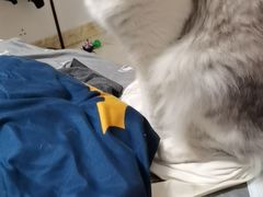 -爱侣宠医·鹦鹉专科·小型哺乳类·异宠专科(灵石路店)