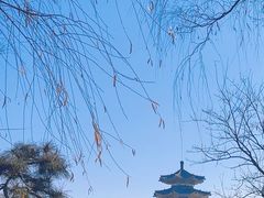 -淄博聊斋城景区
