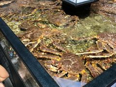 水产区-盒马鲜生(曜一城店)