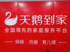 -天鹅到家·保姆月嫂育儿嫂(龙华店)