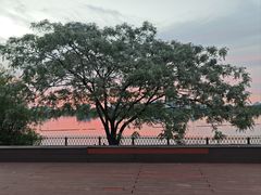 -金银湖国家城市湿地公园
