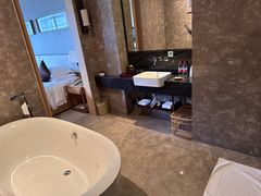 -河源万绿湖美思威尔顿酒店