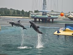 -秦皇岛乐岛海洋王国