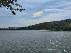 -羊山湖公园