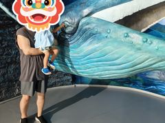 -欢乐海岸海洋奇梦馆
