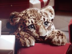 -法国娇兰精品店