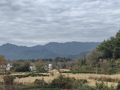 -塔川景区