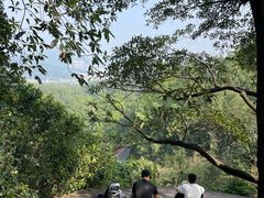 -火炉山森林公园