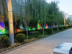 -南宫五洲植物乐园