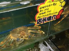 -蚝专家(北滘店)