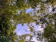 -人民公园(罗湖区)