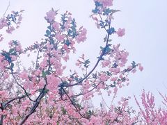 -大宁公园