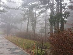 -庐山风景区花径公园