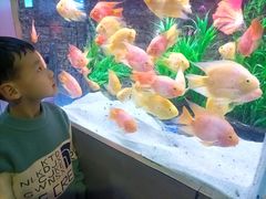 -洛阳龙门海洋馆