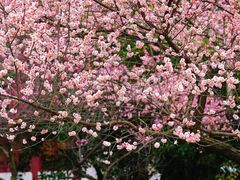 -东湖听涛景区