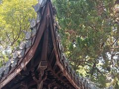 -秋霞圃